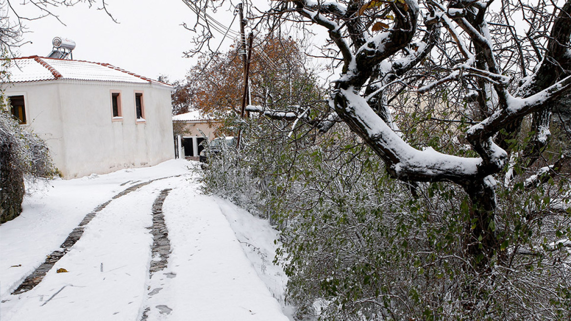 Καιρός: Συνεχίζεται η παγωνιά - «Βουτιά» 13 βαθμών στη θερμοκρασία