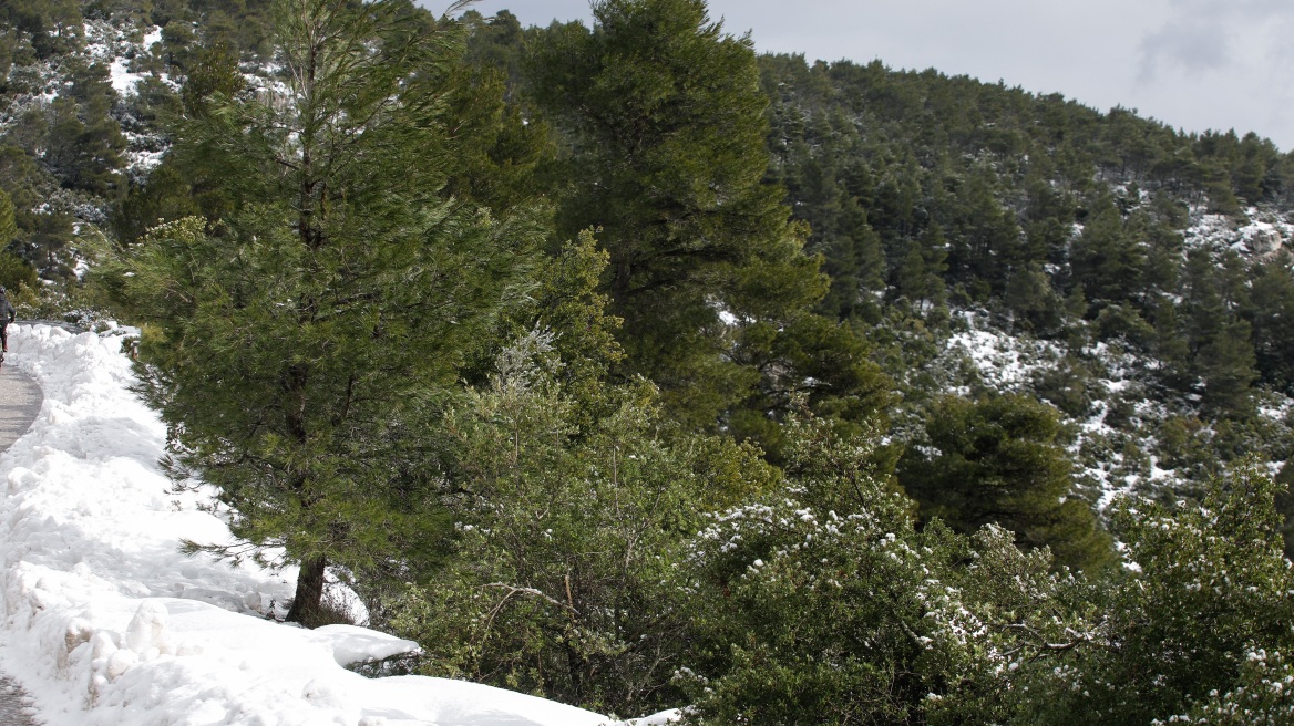 Καιρός: Η μικρότερη χιονοκάλυψη της τελευταίας 15ετίας