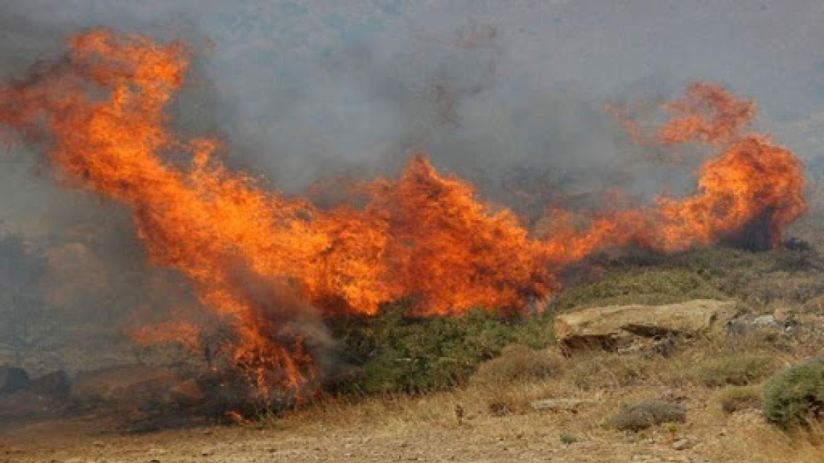 Σπάρτη: Δασική πυρκαγιά κοντά στο καταφύγιο Ταϋγέτου