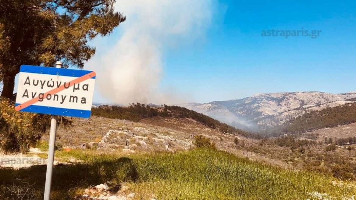 Υπό μερικό έλεγχο η μεγάλη πυρκαγιά στην περιοχή Ανάβατου στη Χίο