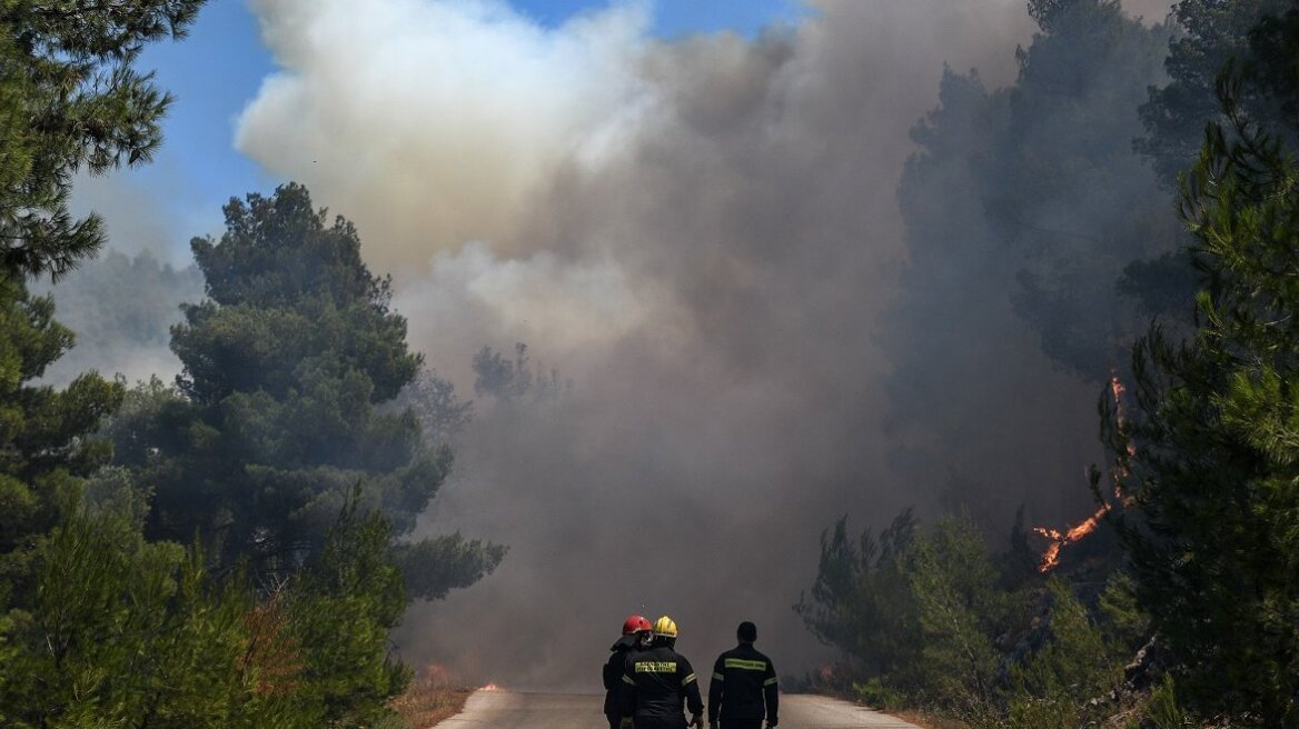 Χαλκιδική: Φωτιά στη Νέα Σκιώνη