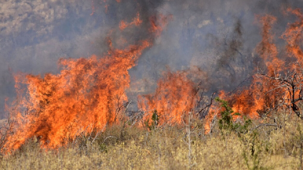 Φωτιά σε δασική έκταση στη Νεμέα