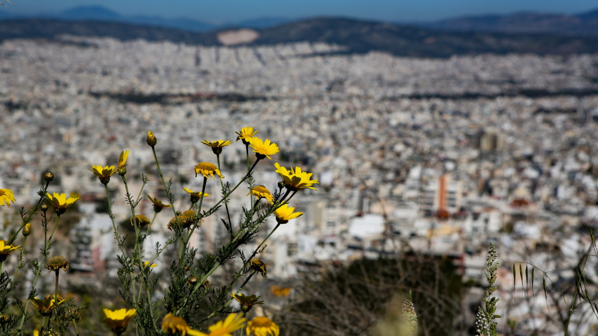 Καιρός: Ανεβαίνει η θερμοκρασία - Ανοιξιάτικο σκηνικό το Σαββατοκύριακο