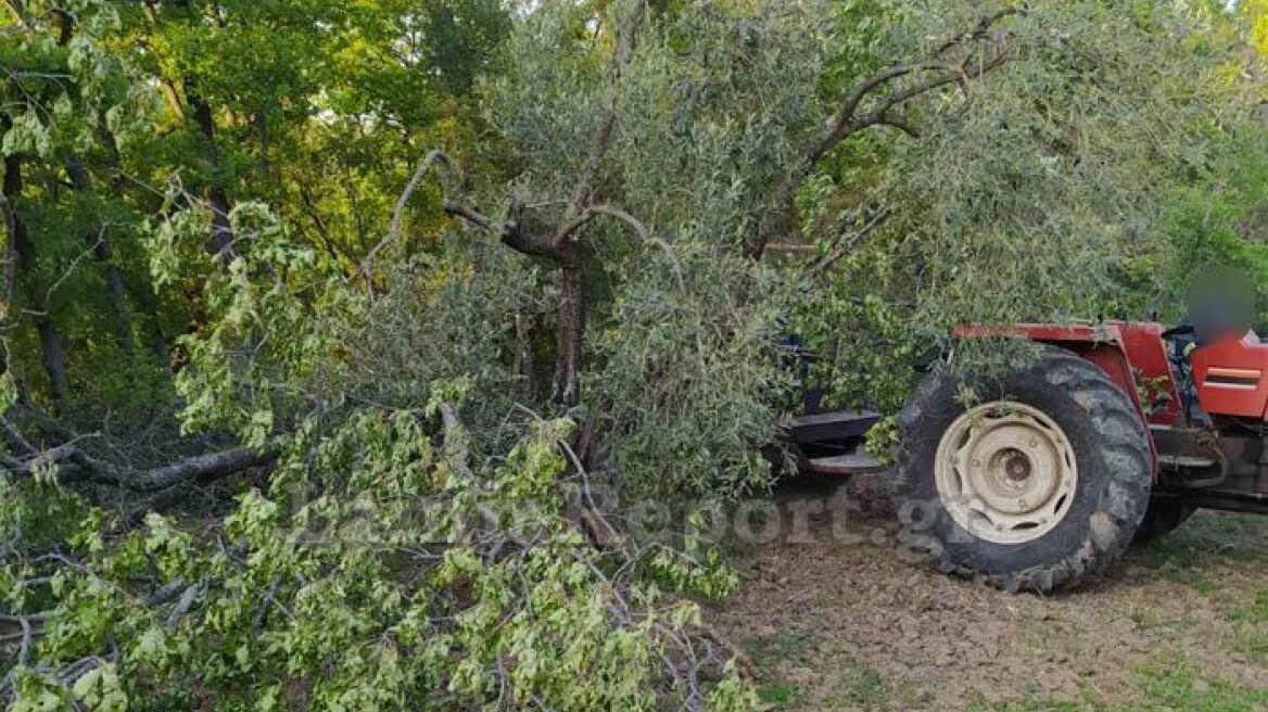 Μοναχές βρήκαν άντρα καταπλακωμένο από δέντρο