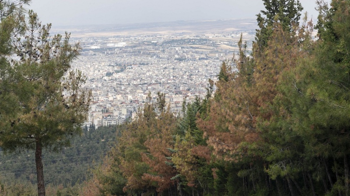 Άρση μέτρων - Θεσσαλονίκη: Επιτρέπεται η κυκλοφορία στο δάσος του Σέιχ Σου και το δάσος του Χορτιάτη