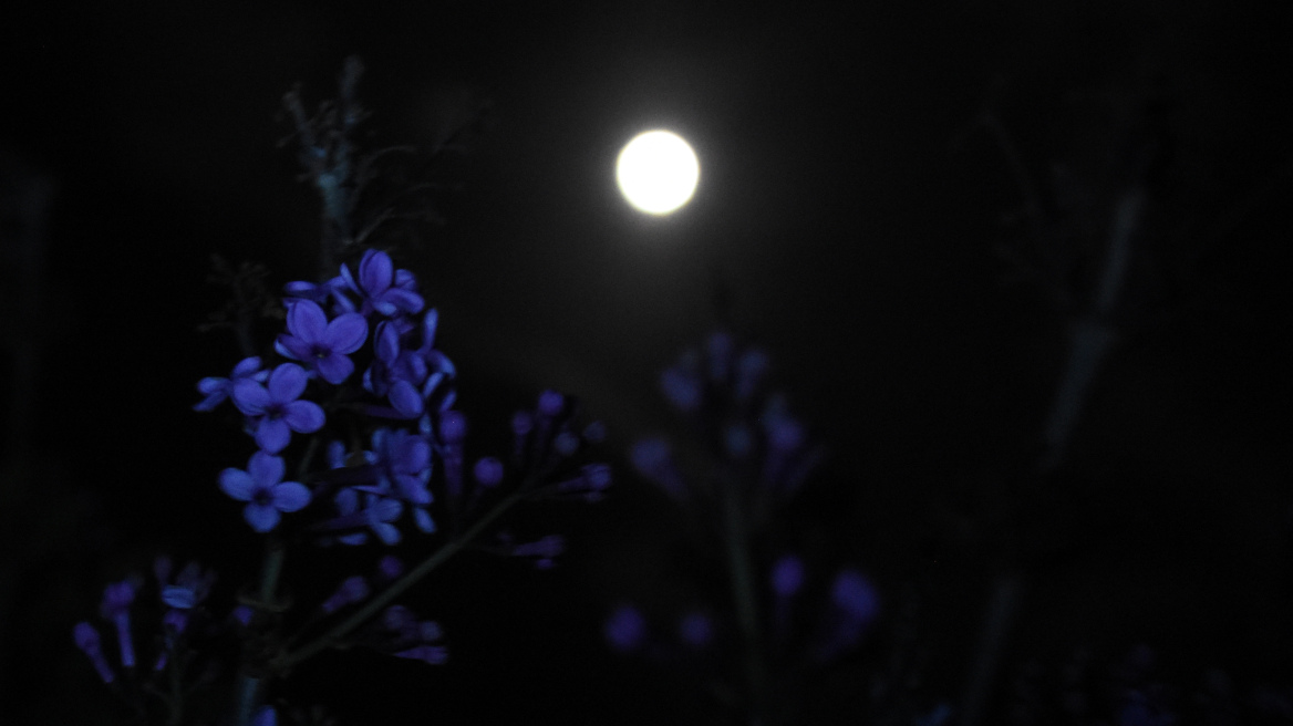 Υπερπανσέληνος: Την Πέμπτη το τελευταίο supermoon για το 2020