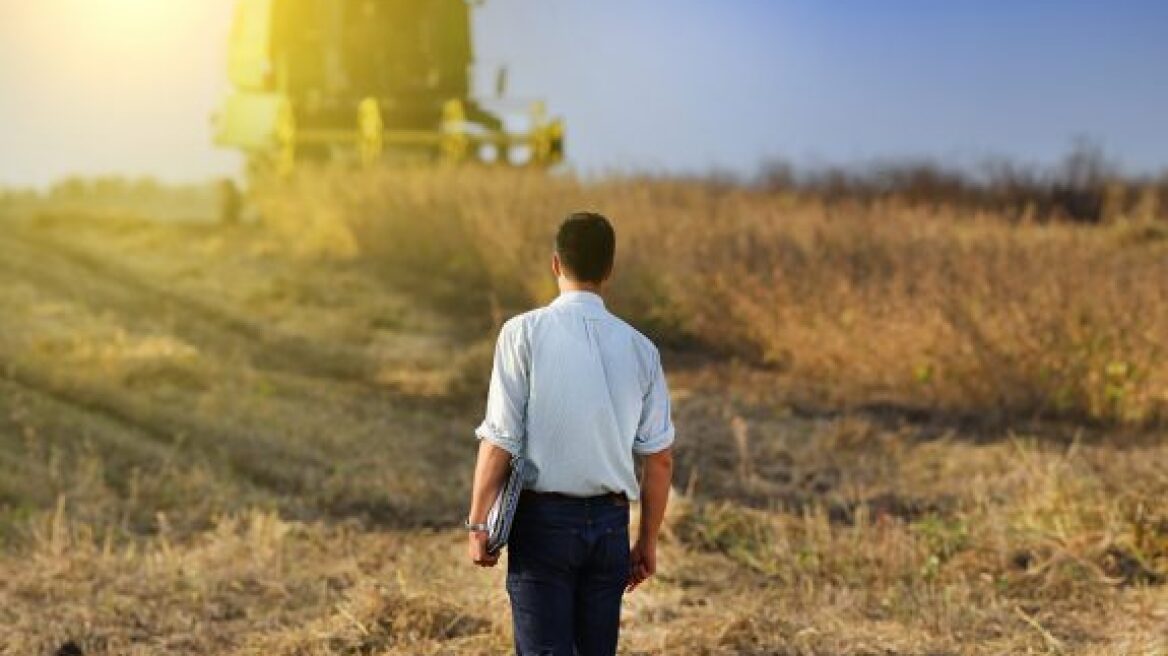 Greek Farms: Η διαδικτυακή πύλη για τα αγροτικά προϊόντα