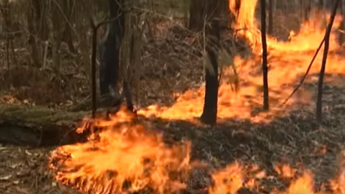 Κομισιόν: Υψηλός κίνδυνος για ασυνήθιστα εκτεταμένες δασικές πυρκαγιές σε όλη την Ευρώπη