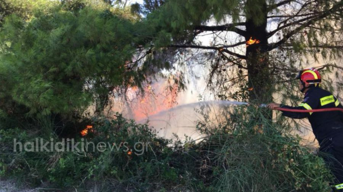 Πυρκαγιά στη Χαλκιδική: Υπό έλεγχο η φωτιά στη Σιθωνία 