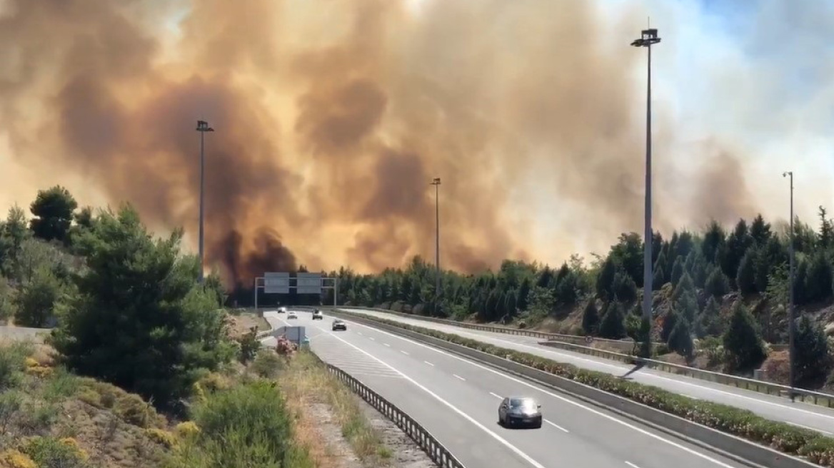 Υπό έλεγχο η φωτιά στο Μαρτίνο: Σε επιφυλακή για διάσπαρτες εστίες - Υπόνοιες για εμπρησμό