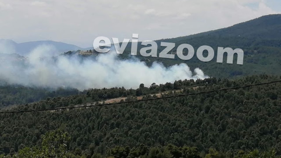 Φωτιά στο Κυπαρίσσι της Εύβοιας - Δεν απειλεί κατοικημένη περιοχή