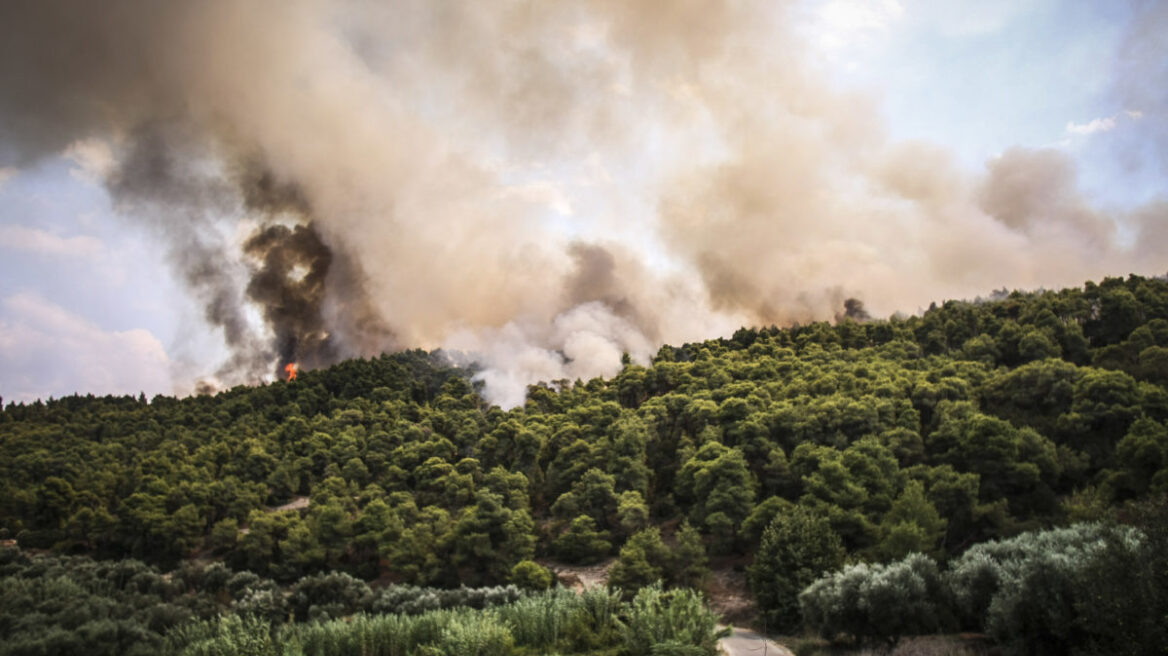 Υπό μερικό η φωτιά σε δασική έκταση στη Βάρη