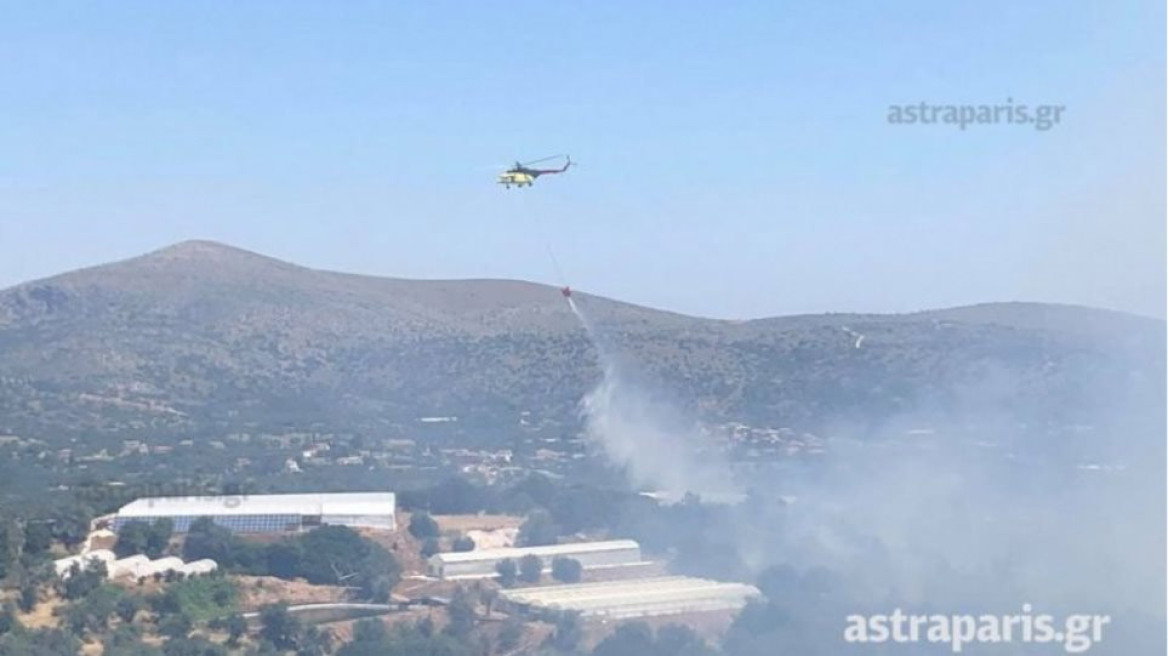 Σε ύφεση η πυρκαγιά στη Χίο 	