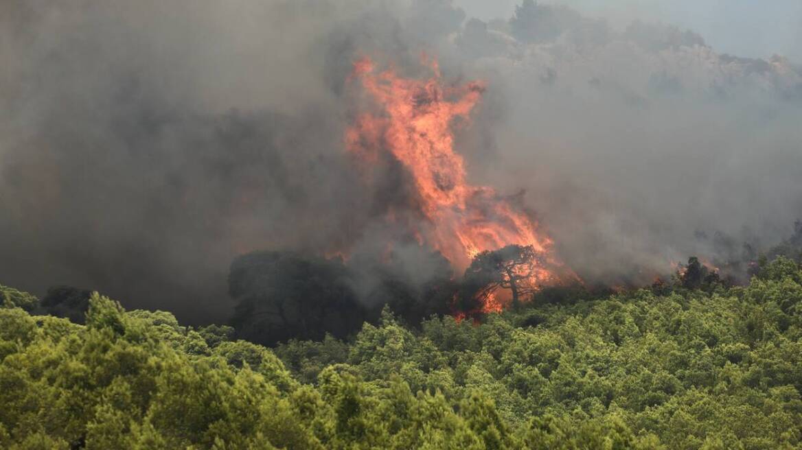 Συλλήψεις για τις φωτιές σε Εύβοια και Κρήτη