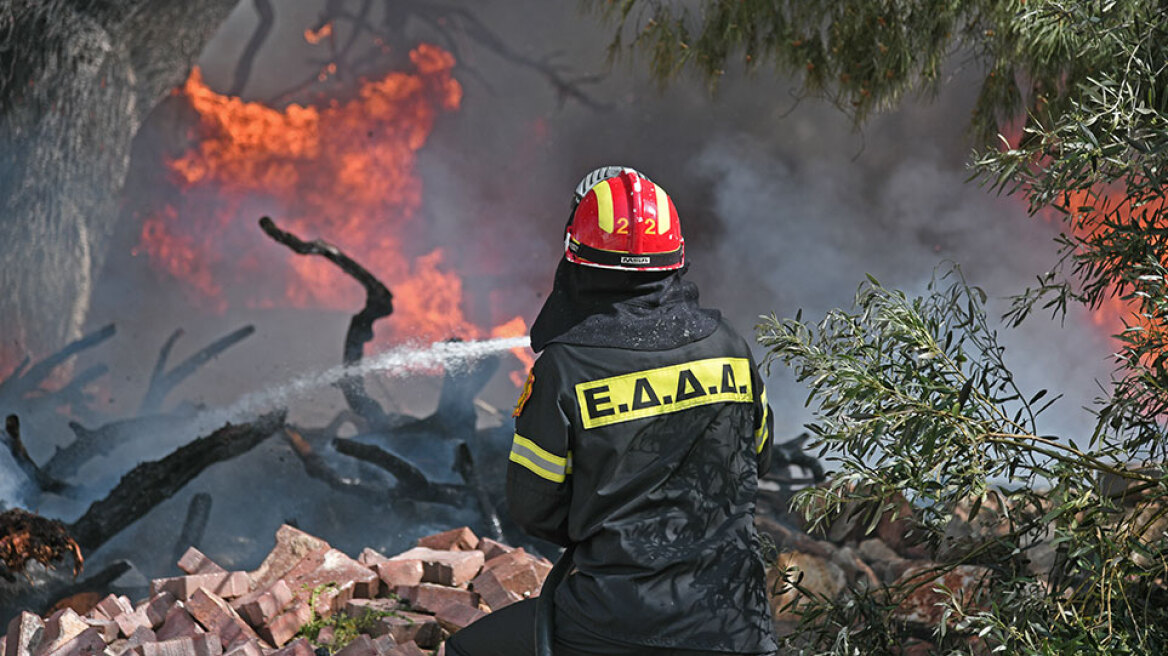 Πυρκαγιά σε δασική έκταση στα Σπάτα - Μεγάλη κινητοποίηση της Πυροσβεστικής