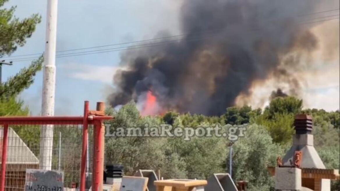 Υπό έλεγχο η φωτιά στον Θεολόγο Φθιώτιδας