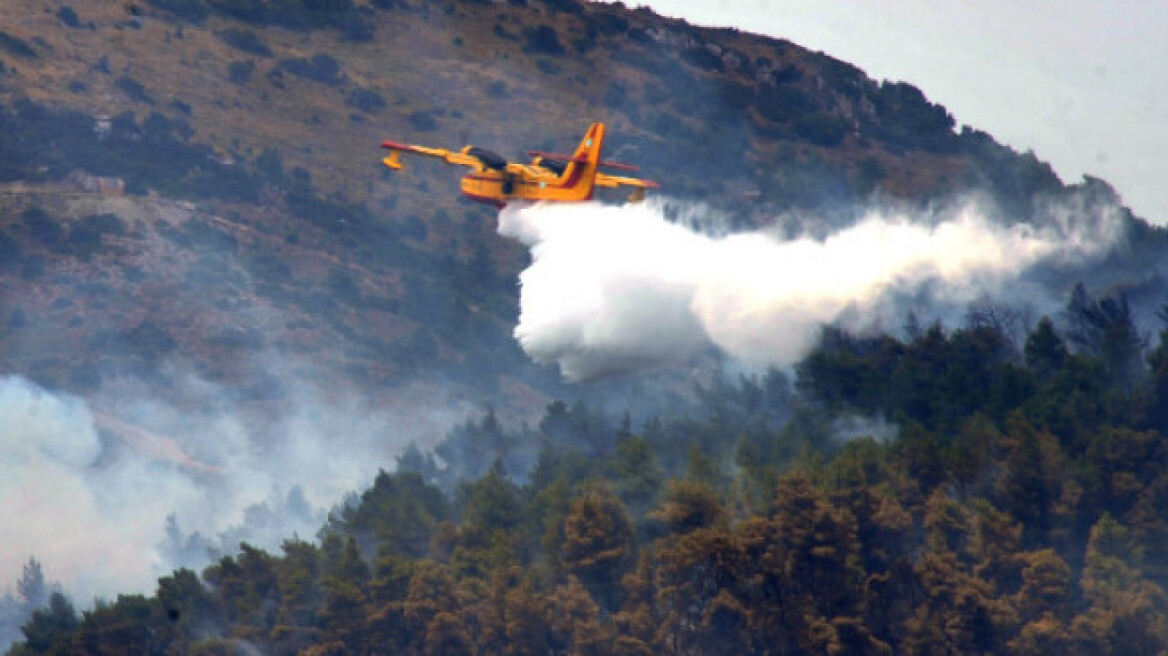 ﻿Φωτιά στη Λέσβο - Ανησυχία για τους ισχυρούς ανέμους 