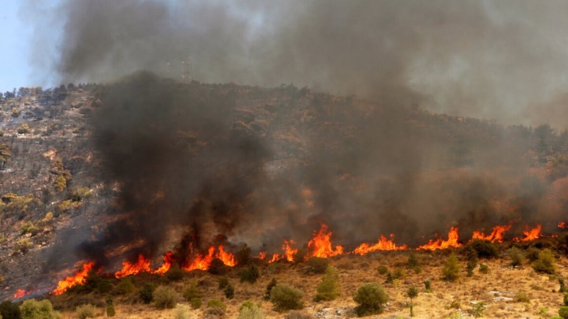 Φωτιά σε δασική έκταση στην ανατολική Μάνη