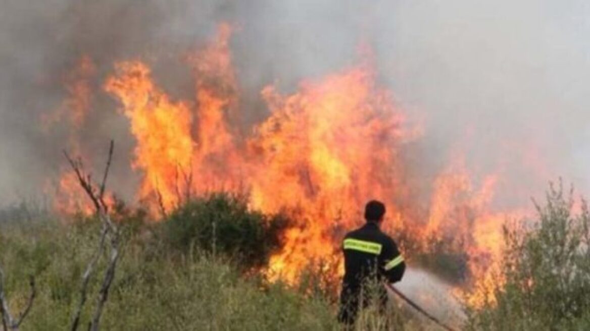 Εύβοια: Φωτιά στην περιοχή Προφήτης Ηλίας 