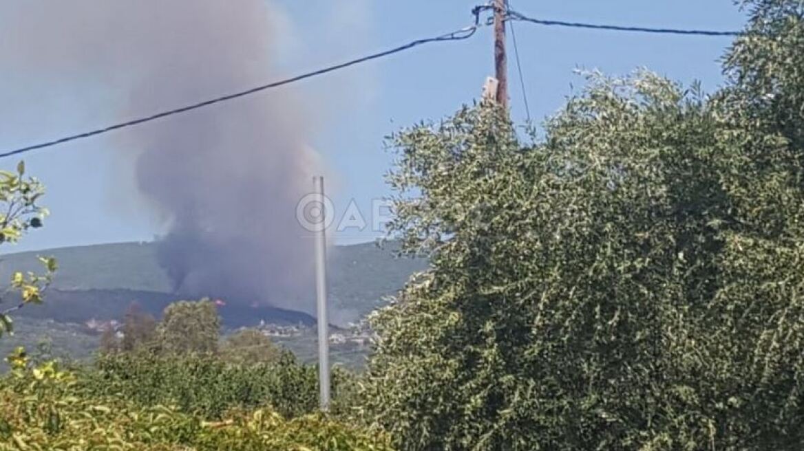 Φωτιά στο Πεταλίδι Μεσσηνίας - Εκκενώνεται οικισμός