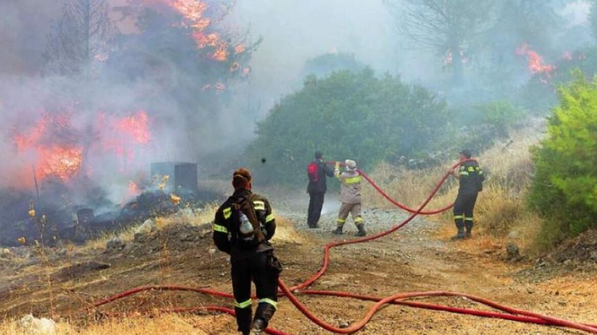 Φωτιά στη Φιγαλεία Ηλείας