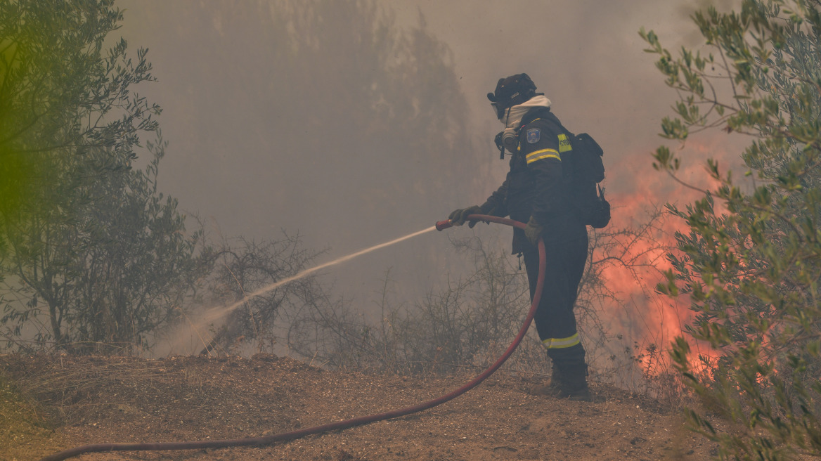 Ηλεία: Μια σύλληψη για τη φωτιά στο Γραμματικό