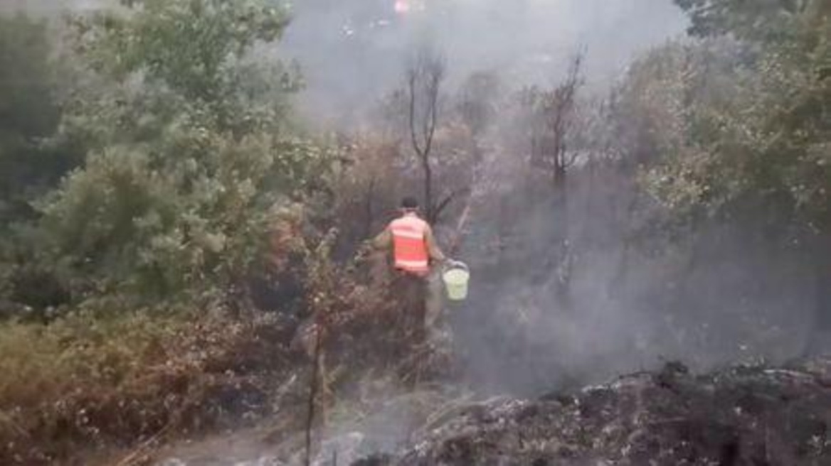 Πορτογαλία: Νεκρός πυροσβέστης σε τροχαίο στη διάρκεια κατάσβεσης δασικής πυρκαγιάς