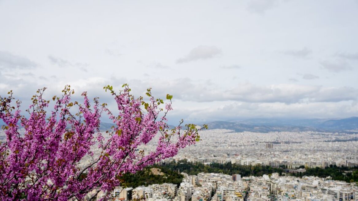 Επιδότηση δανείου: Πότε ξεκινούν οι αιτήσεις για επιδότηση στεγαστικών δανείων