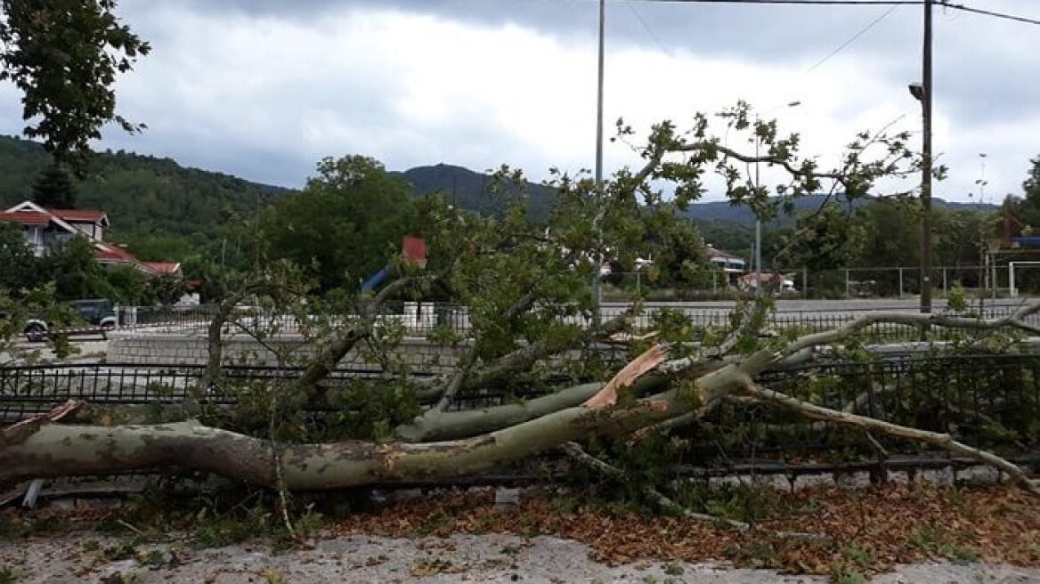 Καιρός: Ξεκίνησε η επέλαση της κακοκαιρίας «Θάλεια» - Βροχές και χαλαζοπτώσεις σε περιοχές της χώρας 