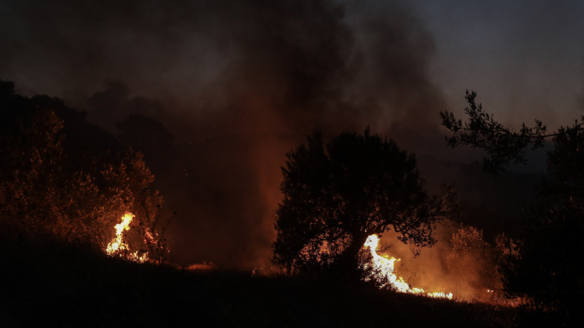 Φωτιά σε δασική έκταση στην Ικαρία: Αίτημα από τον Δήμο για προληπτική εκκένωση οικισμών  