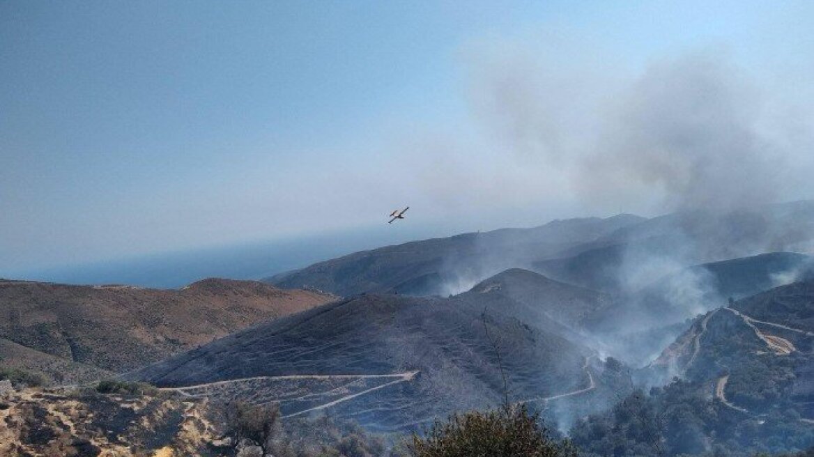 Κρήτη: Σε εξέλιξη η φωτιά στο Σέλινο - Ολονύχτια μάχη έδωσαν οι πυροσβέστες