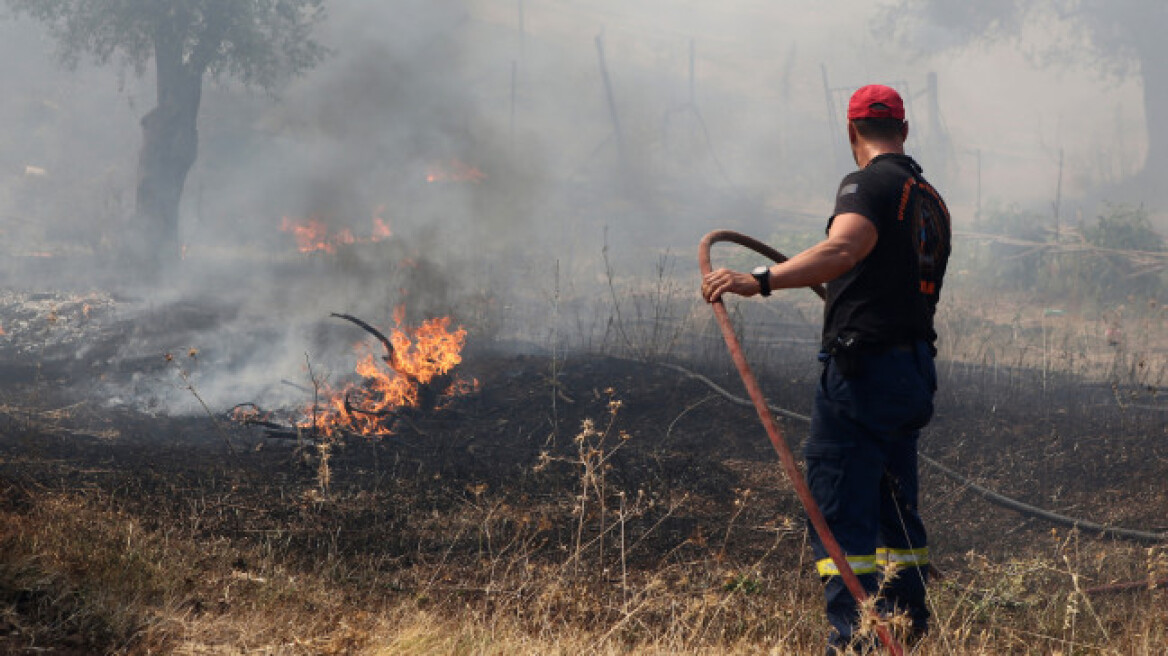 Ανεβαίνει η θερμοκρασία την Παρασκευή: Σε ποιες περιοχές υπάρχει κίνδυνος πυρκαγιάς