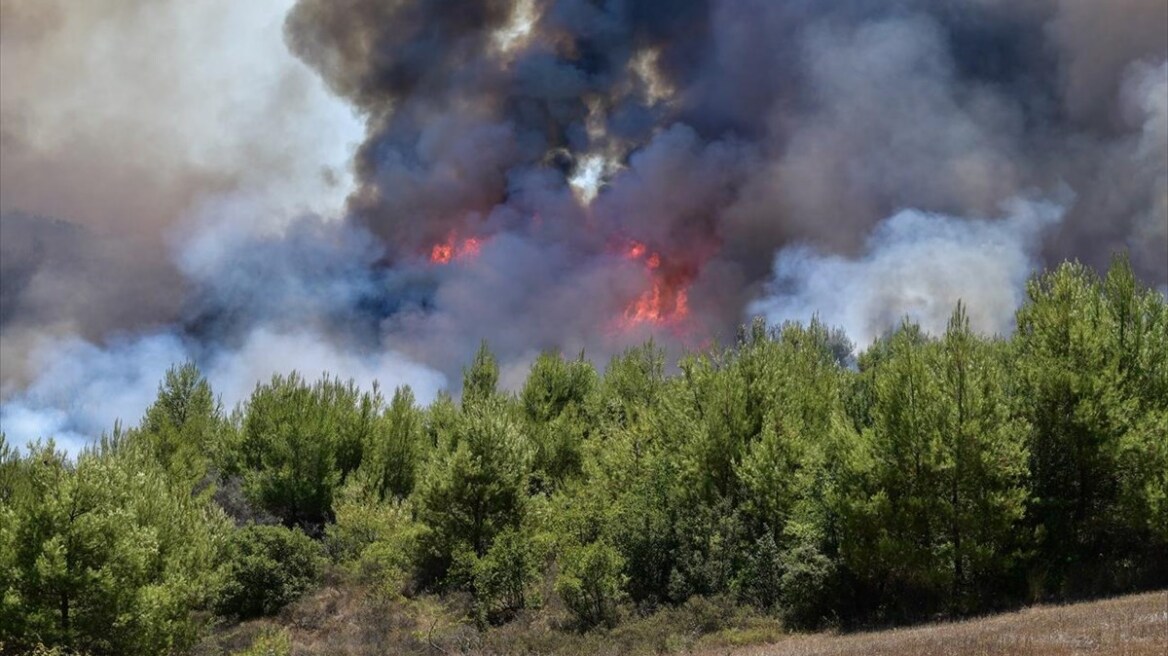 Μεγάλη φωτιά στις Οινιάδες Αιτωλοακαρνανίας