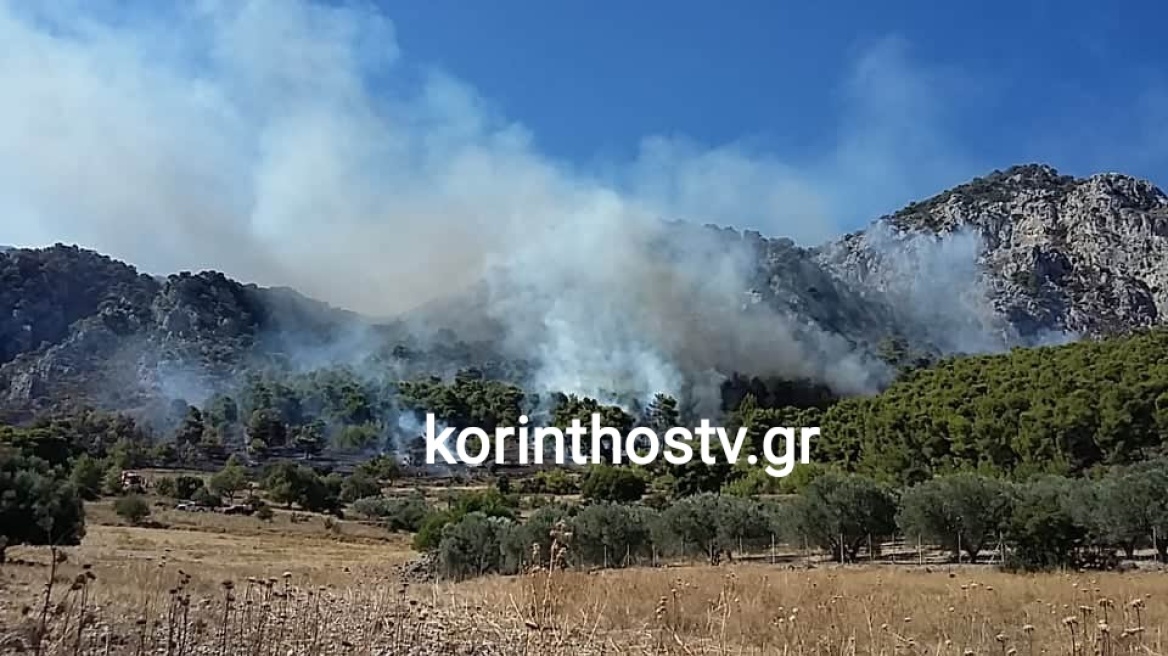 Φωτιά στην περιοχή Ντράσα στο Γαλατάκι Κορινθίας