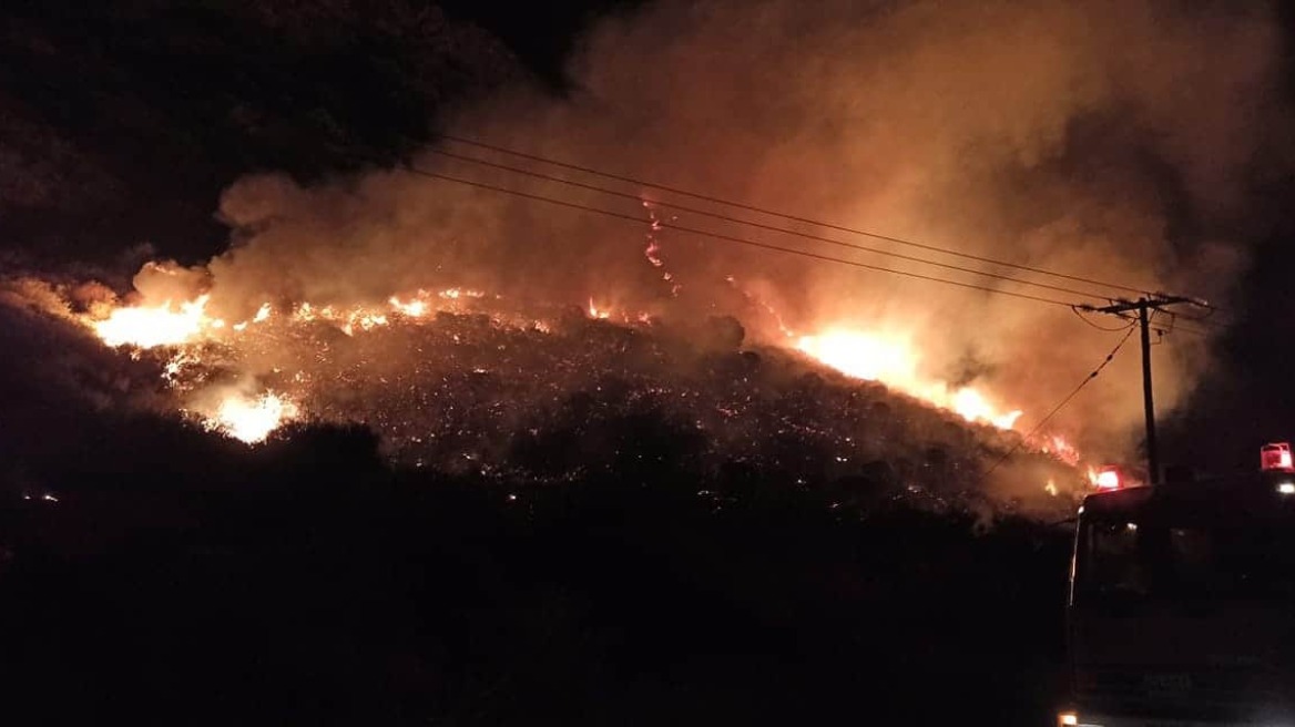 Συναγερμός στη Φωκίδα: Φωτιά σε δασική έκταση στο Γαλαξίδι