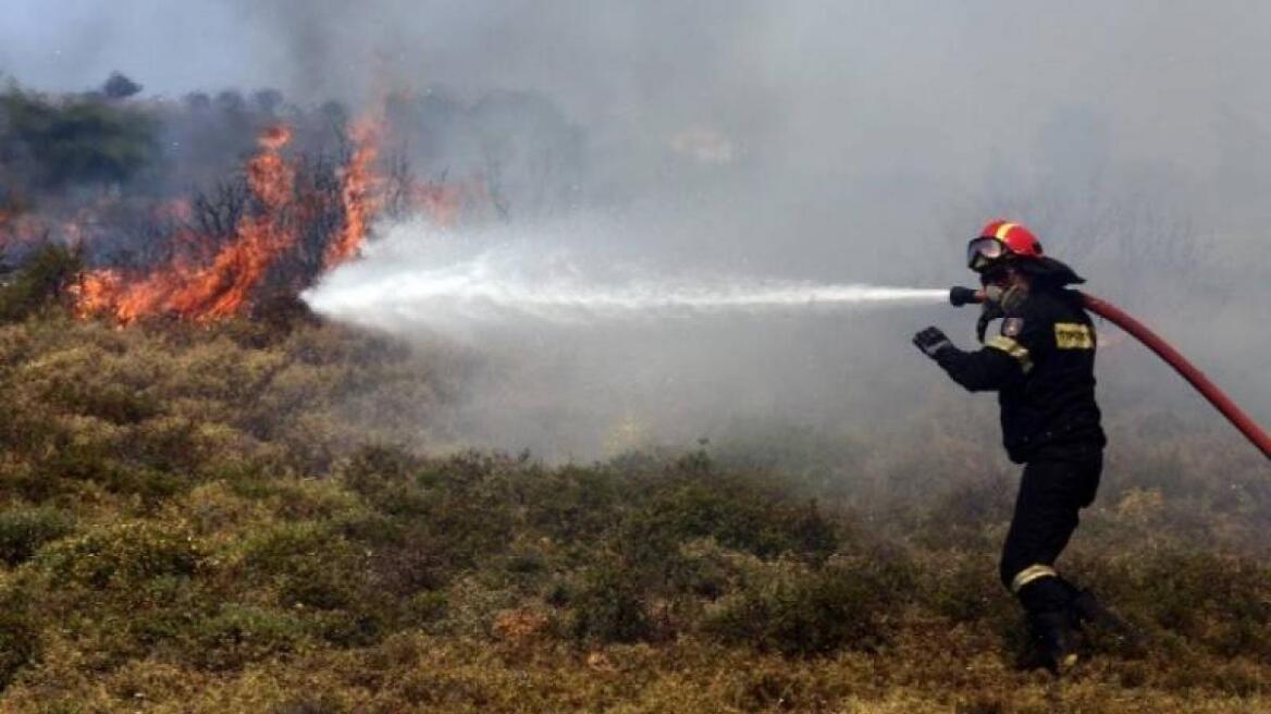 Νέα φωτιά στη Λακωνία: Πύρινο μέτωπο στο Γεράκι 