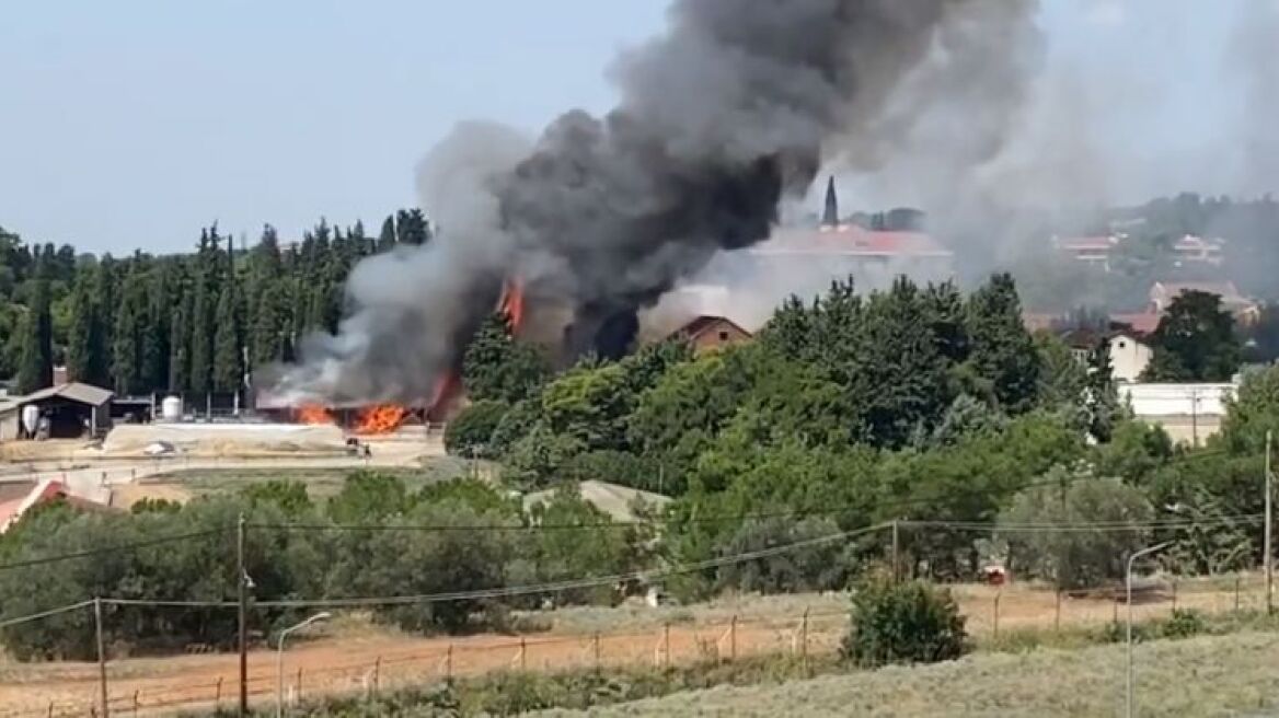 Φωτιά στην Αμερικανική Γεωργική Σχολή της Θεσσαλονίκης