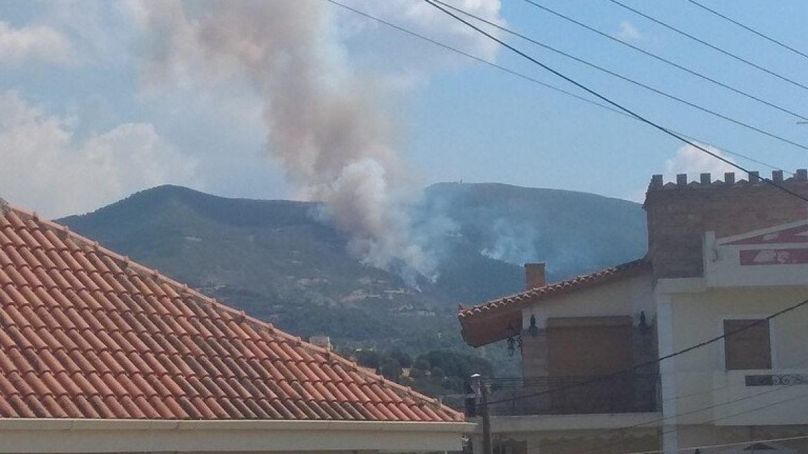 Φωτιά τώρα σε δασική περιοχή στην Αχαΐα - Ενισχύθηκαν οι πυροσβεστικές δυνάμεις