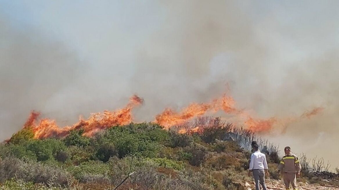 Φωτιά στην περιοχή Προφήτης Ηλίας στη Βόνιτσα