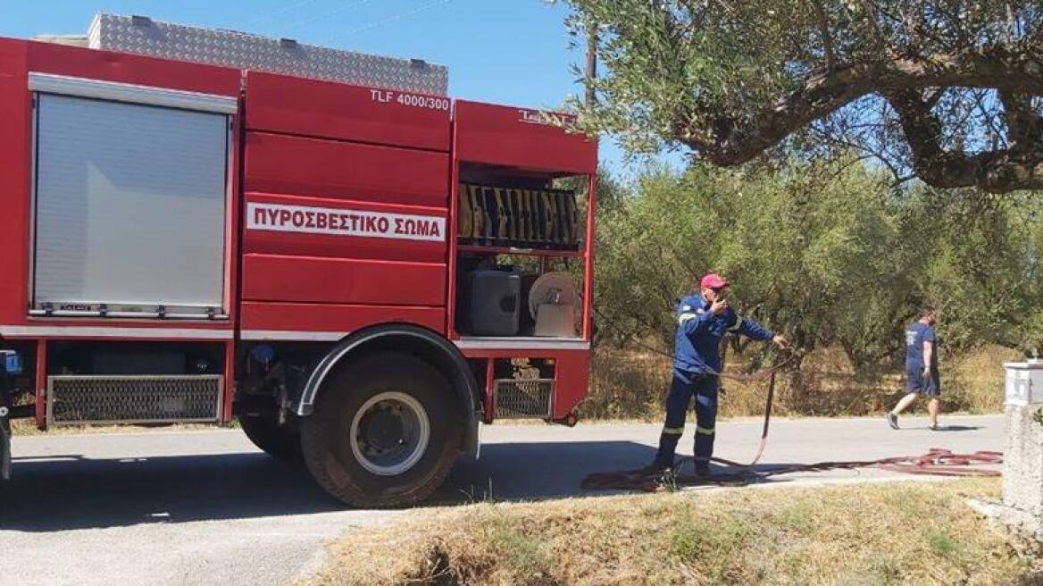 Φωτιά σε δασική έκταση στη Ζάκυνθο