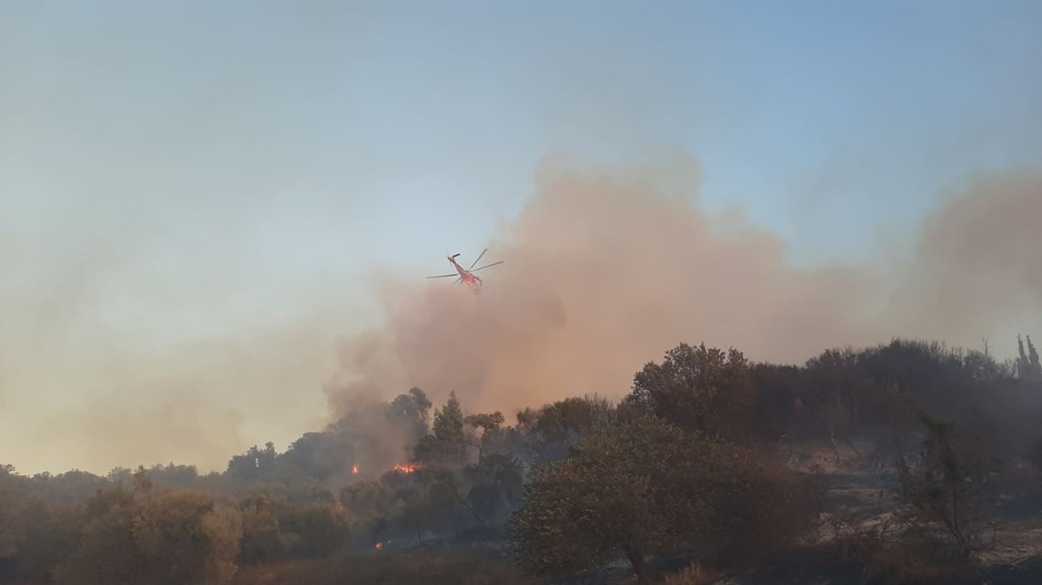 Φωτιά στην Ηλεία, κοντά στο Φράγμα του Πηνειού 