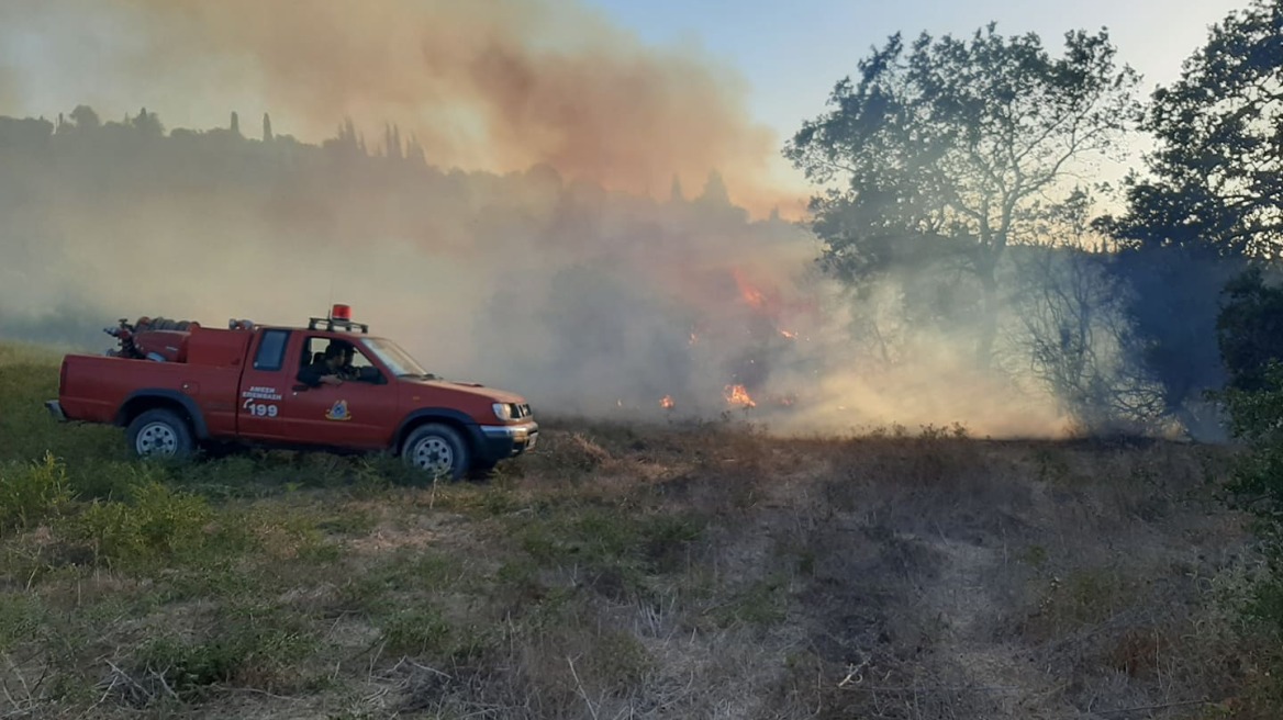 Φωτιά σε δασική έκταση στην Τριφυλία Μεσσηνίας