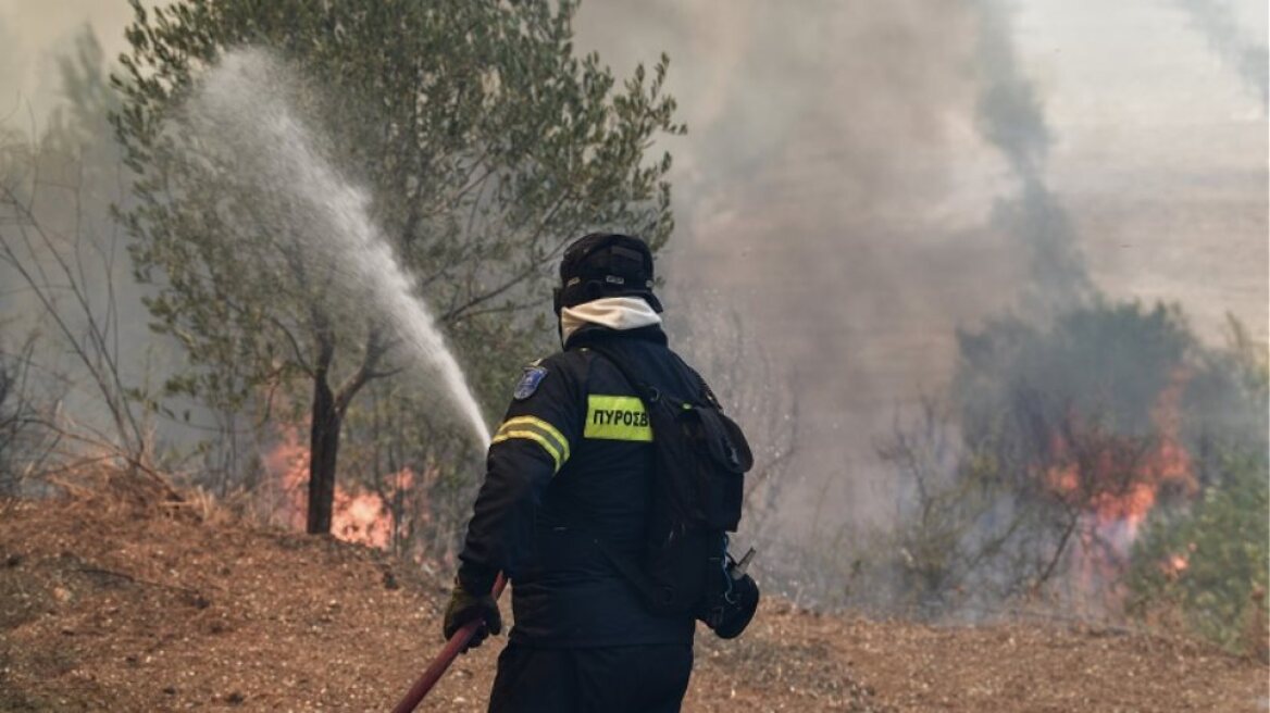 Ηλεία: Υπό μερικό έλεγχο η φωτιά που ξέσπασε χθες στην περιοχή Κολοκυθάς 