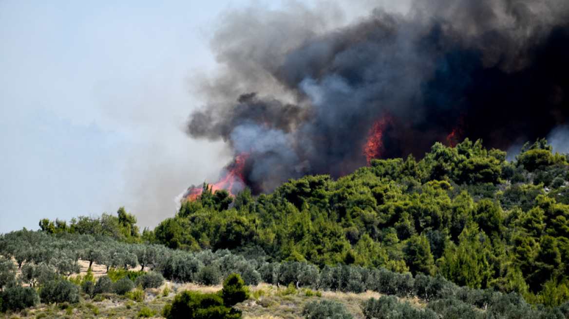 Φωτιά σε δασική έκταση στον Άγιο Βλάση Σοφικού στην Κορινθία - Εκκενώθηκαν οικισμοί και μοναστήρι