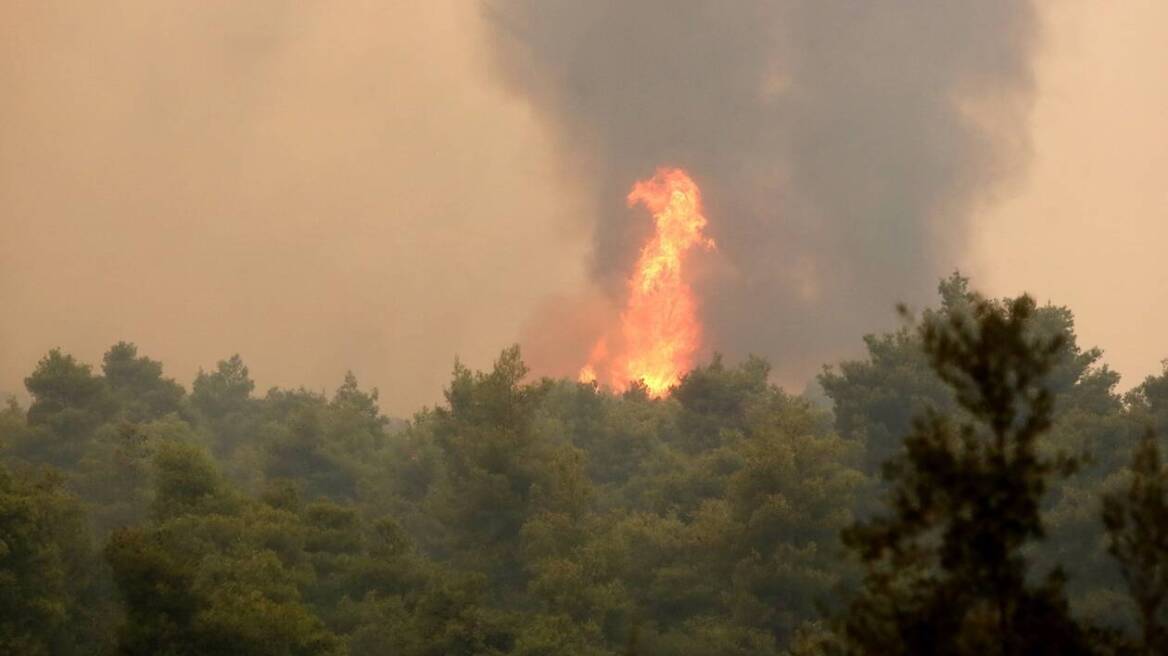 Σε ύφεση η φωτιά στον Άγιο Νίκωνα στη Δυτική Μάνη 