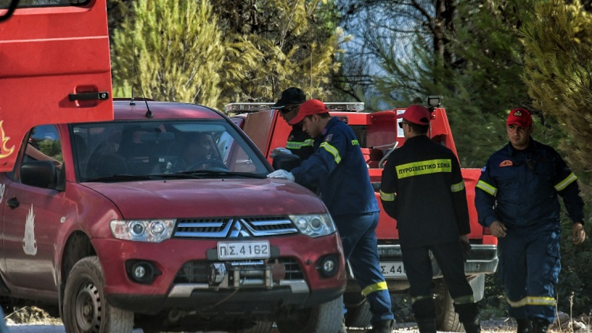 Φωτιά σε δασική έκταση στην Ανατολική Μάνη