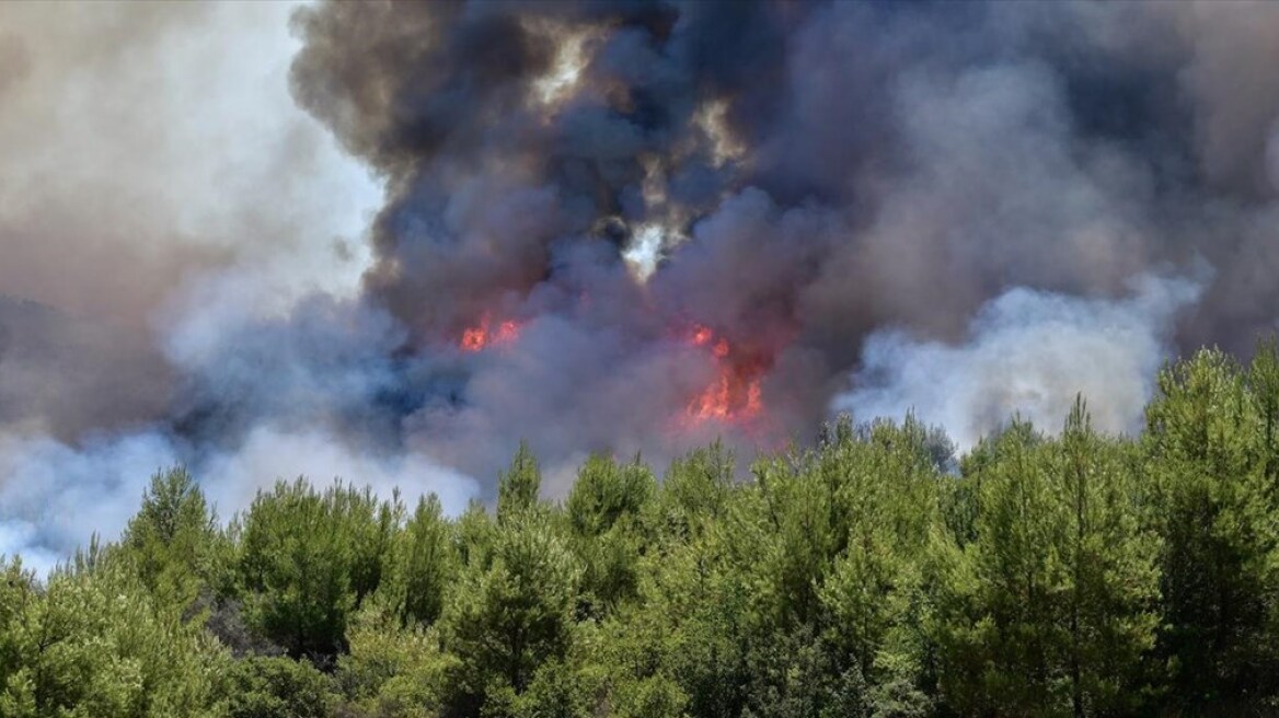 Φωτιά στο Διδυμότειχο