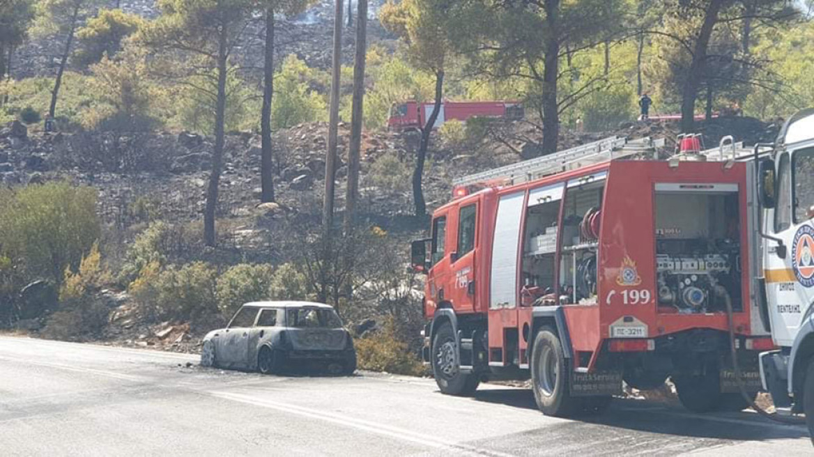 Μεγάλη φωτιά στη Νέα Μάκρη - Ενισχύονται οι πυροσβεστικές δυνάμεις