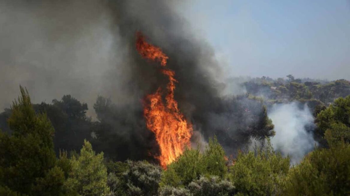 Σε ύφεση η φωτιά στον Κουταλά Κορινθίας