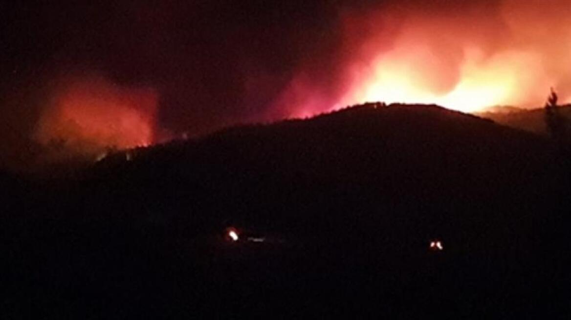 Αλεξανδρούπολη: Ολονύχτια μάχη με τις φλόγες - Αποκόπηκε το ένα μέτωπο, μαίνεται το δεύτερο